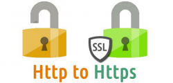         HTTP  HTTPS
