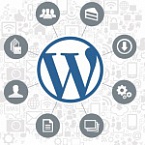 Google: "WordPress     "